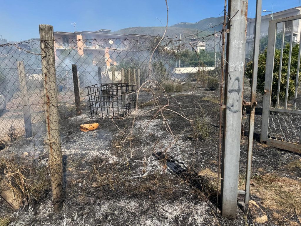 Mugnano del Cardinale, incendio al confine con Sirignano: tempestivo l’intervento dell’AIB.(Foto e video)