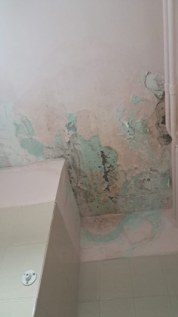 Roccarainola, tre anni con lacqua in casa: “Abbiamo un bambino disabile, non ce la facciamo più” – L’appello Roccarainola, tre anni con lacqua in casa: “Abbiamo un bambino disabile, non ce la facciamo più” – L’appello