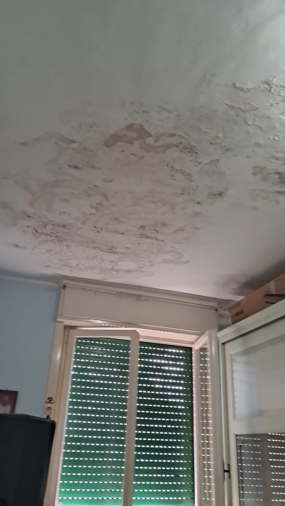 Roccarainola, tre anni con lacqua in casa: “Abbiamo un bambino disabile, non ce la facciamo più” – L’appello Roccarainola, tre anni con lacqua in casa: “Abbiamo un bambino disabile, non ce la facciamo più” – L’appello
