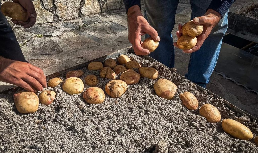 Castelcivita, il 31 ottobre e 1° novembre torna la Festa della Patata di Montagna