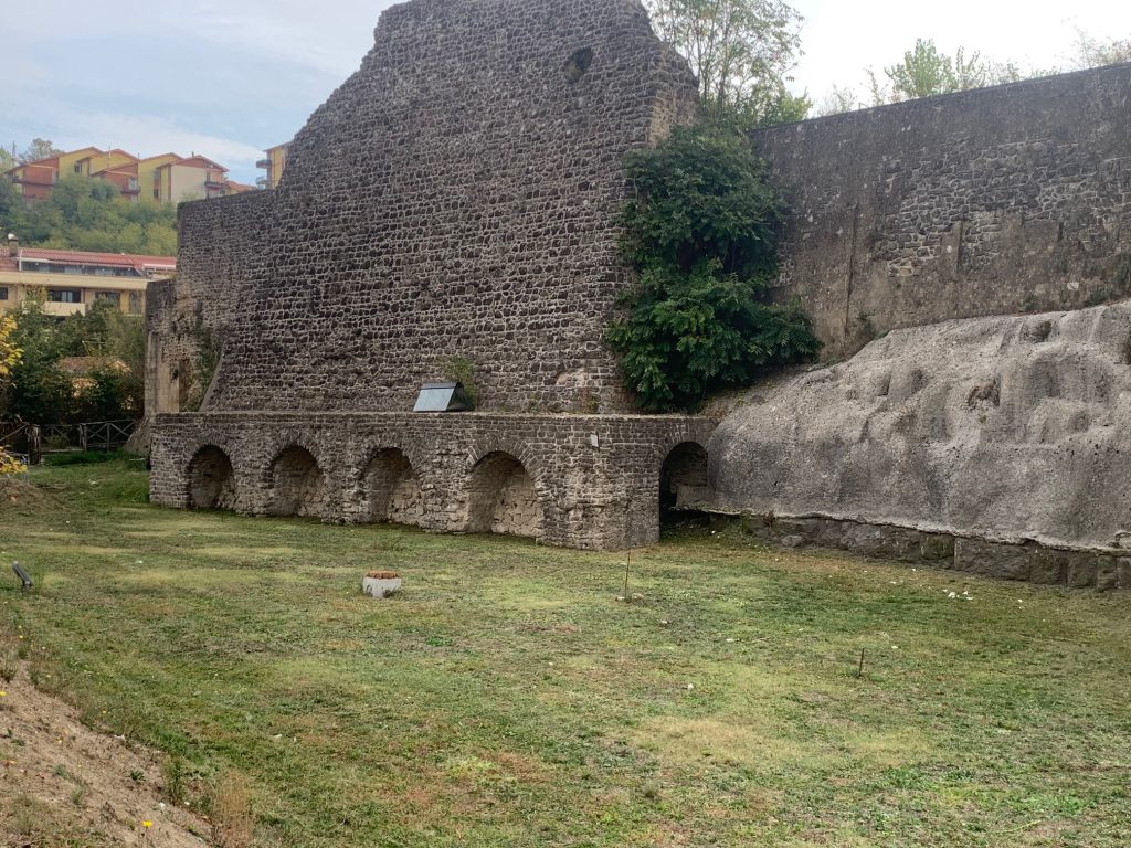 AVELLINO. Decespugliamento e pulizia nell’area del Castello: al via gli interventi del PRIUS AVELLINO. Decespugliamento e pulizia nell’area del Castello: al via gli interventi del PRIUS