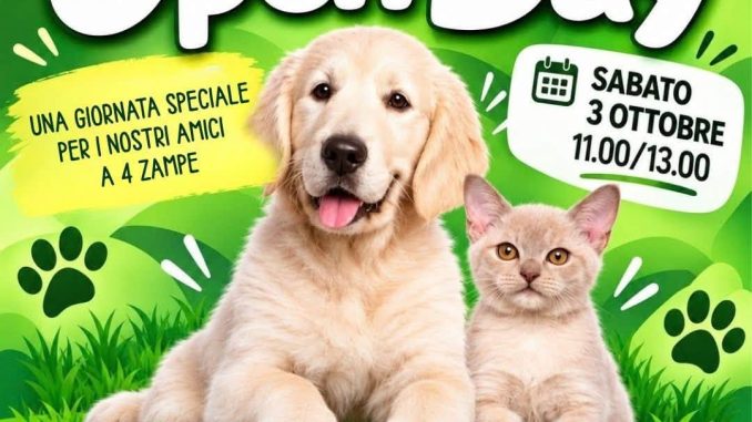 PET