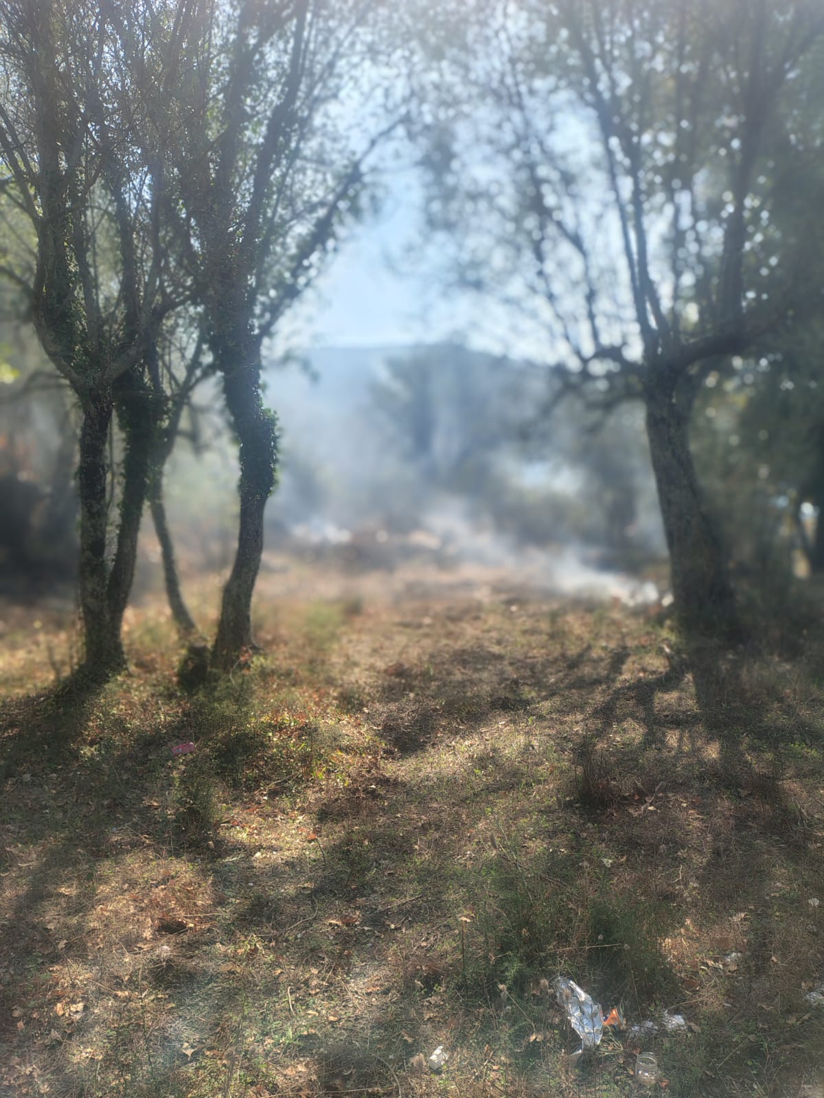 Mugnano del Cardinale, incendio in un fondo privato in località Cugnulo Mugnano del Cardinale, incendio in un fondo privato in località Cugnulo