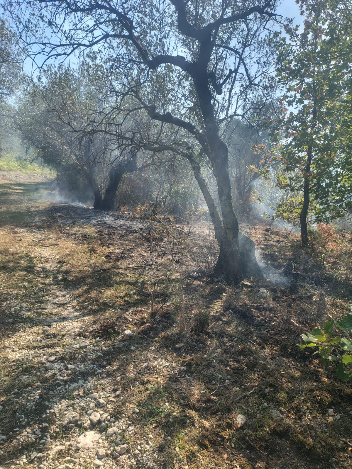 Mugnano del Cardinale, incendio in un fondo privato in località Cugnulo Mugnano del Cardinale, incendio in un fondo privato in località Cugnulo