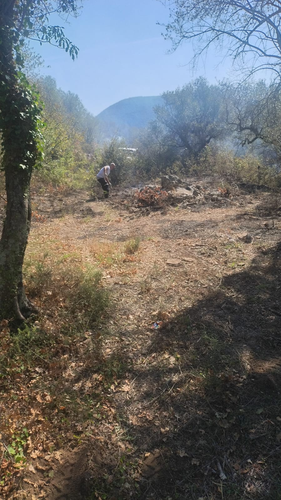 Mugnano del Cardinale, incendio in un fondo privato in località Cugnulo Mugnano del Cardinale, incendio in un fondo privato in località Cugnulo