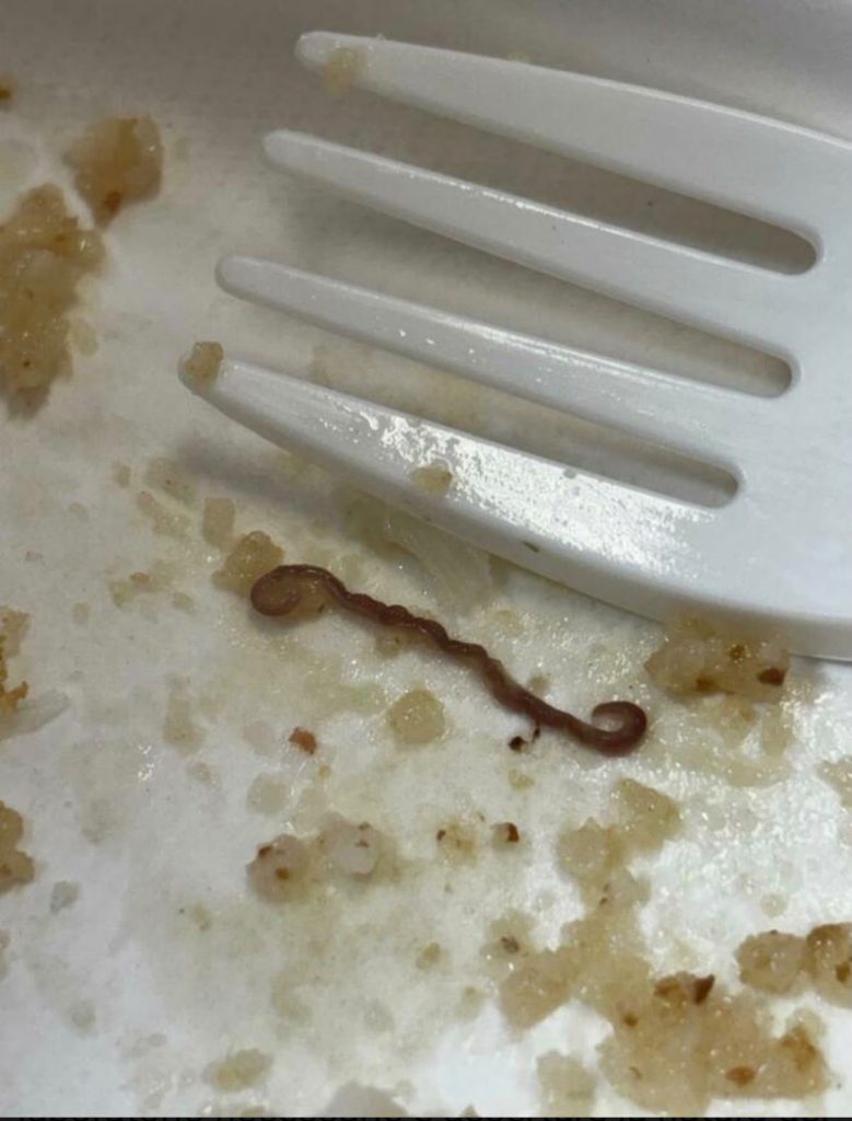 Avellino, vermi nel pesce servito alla mensa scolastica: controlli di Nas e Asl