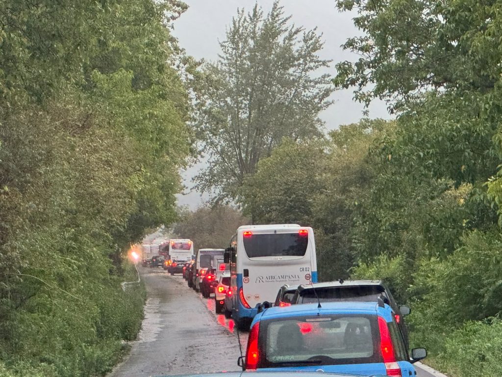 Maltempo nel Baianese, alberi sradicati dal vento sulla Statale 7 bis: traffico bloccato Maltempo nel Baianese, alberi sradicati dal vento sulla Statale 7 bis: traffico bloccato