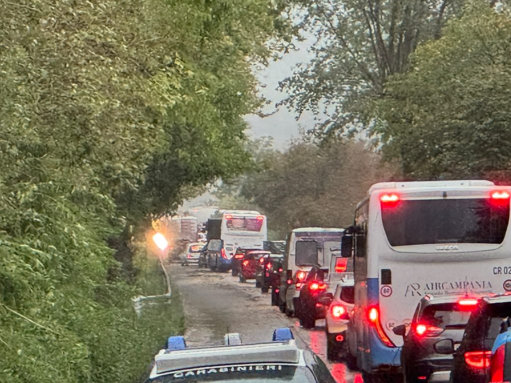 Maltempo nel Baianese, alberi sradicati dal vento sulla Statale 7 bis: traffico bloccato Maltempo nel Baianese, alberi sradicati dal vento sulla Statale 7 bis: traffico bloccato
