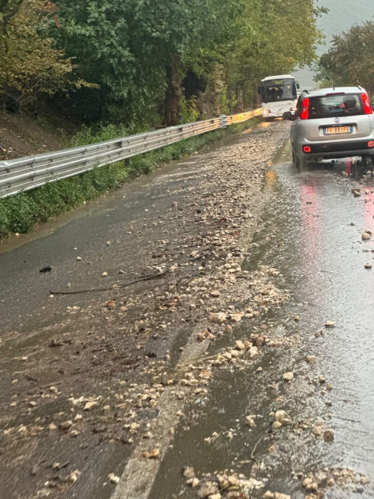 Maltempo nel Baianese, albero cade sulla Statale 7 bis: i Vigili del Fuoco liberano la strada, ripristinata la viabilità. FOTO
