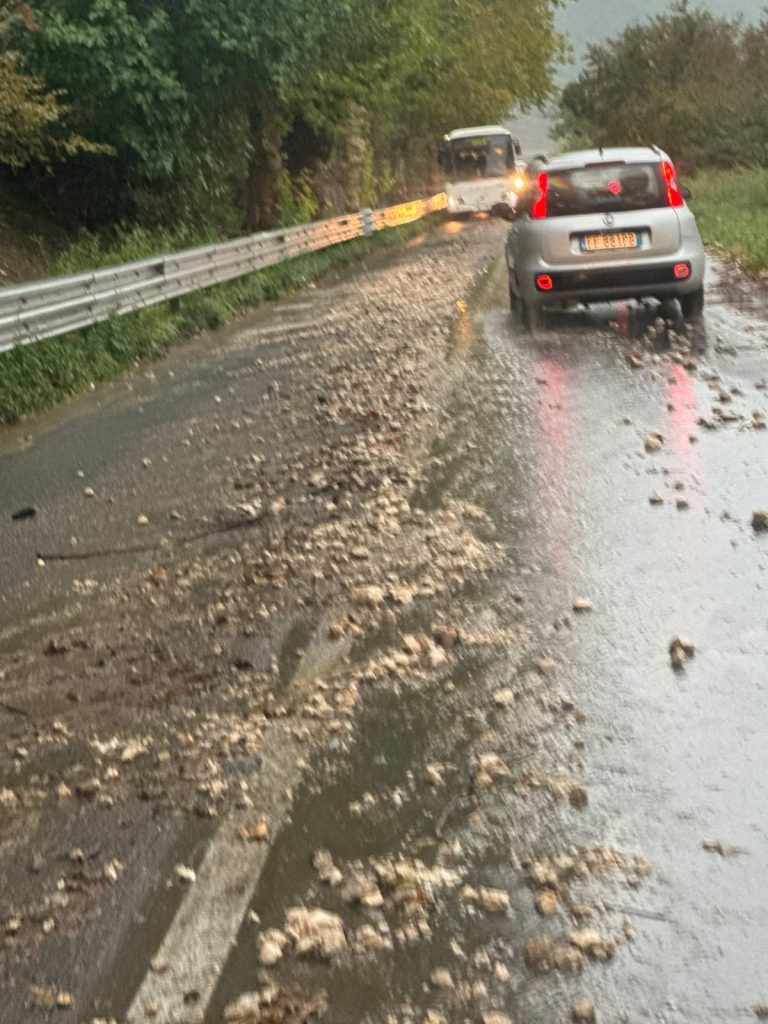Maltempo nel Baianese, albero cade sulla Statale 7 bis: i Vigili del Fuoco liberano la strada, ripristinata la viabilità. FOTO