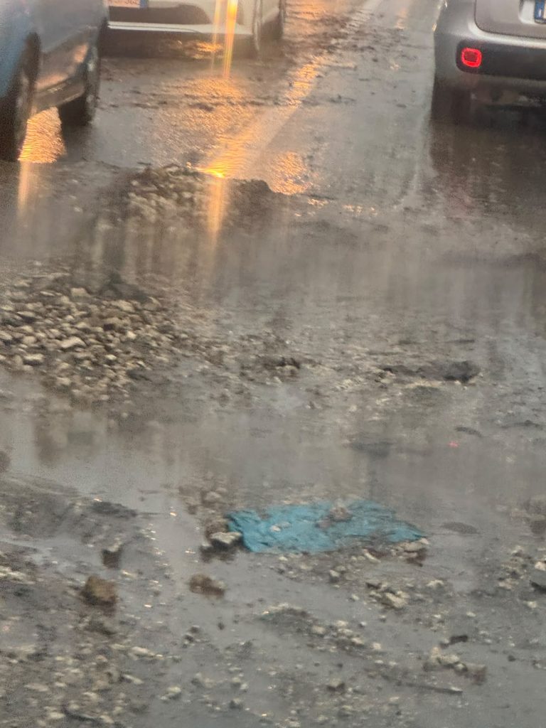 Maltempo nel Baianese, albero cade sulla Statale 7 bis: i Vigili del Fuoco liberano la strada, ripristinata la viabilità. FOTO