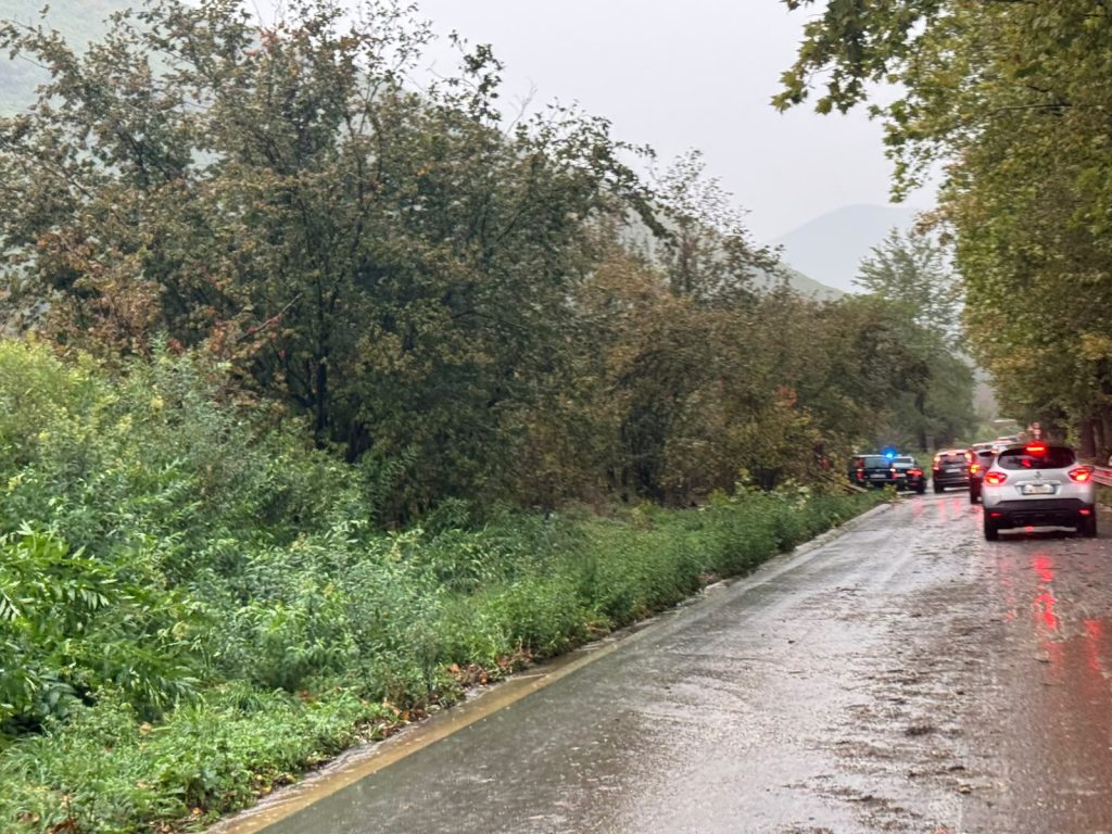 Maltempo nel Baianese, albero cade sulla Statale 7 bis: i Vigili del Fuoco liberano la strada, ripristinata la viabilità. FOTO