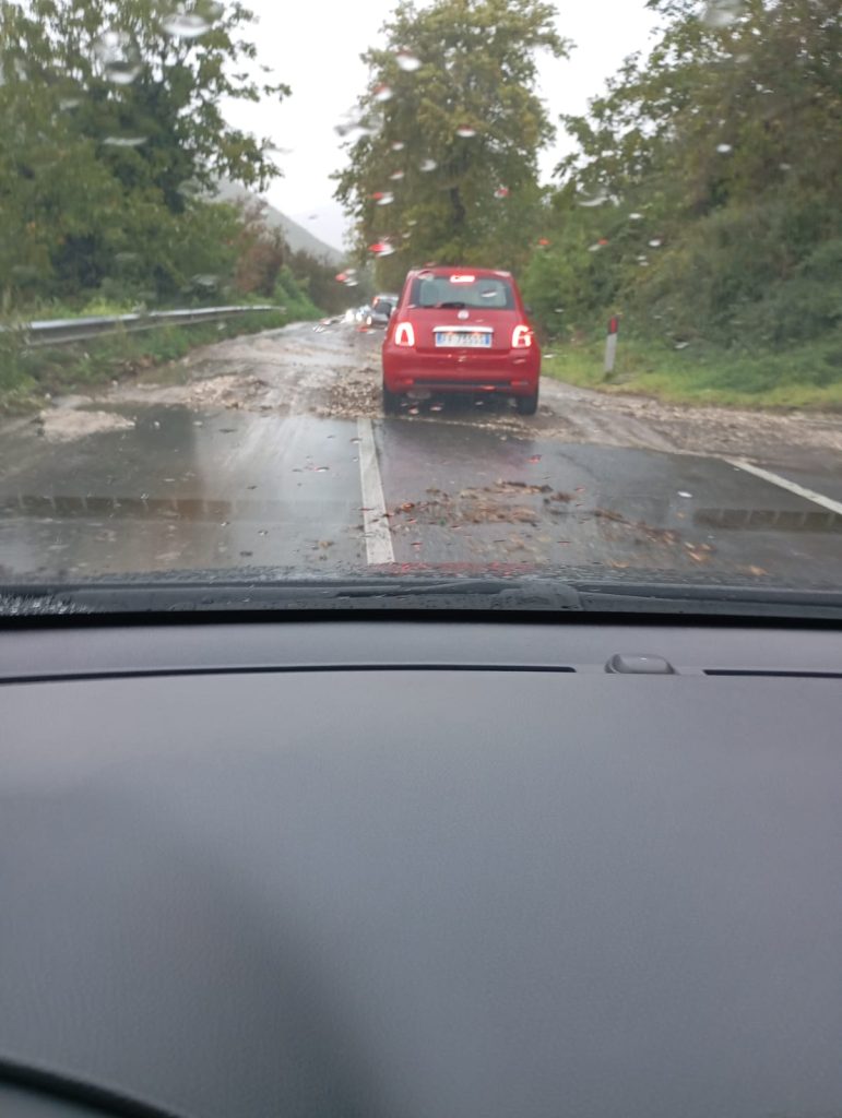 Maltempo nel Baianese, albero cade sulla Statale 7 bis: i Vigili del Fuoco liberano la strada, ripristinata la viabilità. FOTO