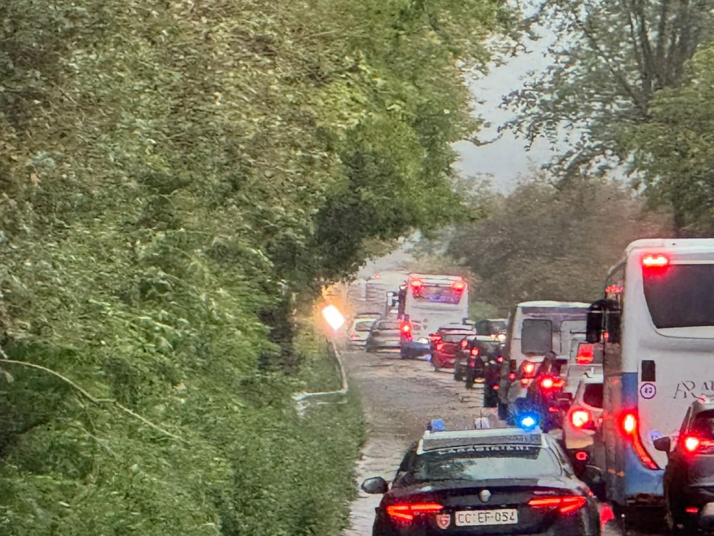 Maltempo nel Baianese, alberi sradicati dal vento sulla Statale 7 bis: traffico bloccato Maltempo nel Baianese, alberi sradicati dal vento sulla Statale 7 bis: traffico bloccato