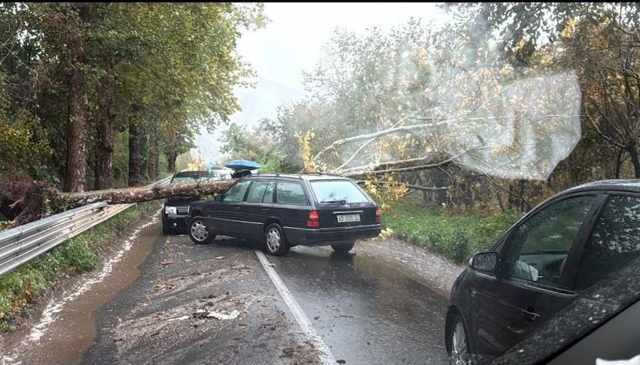 Maltempo, albero si abbatte su un’auto sulla Statale 7 bis: anziana salvata da un poliziotto fuori servizio. «Poteva essere una tragedia» (FOTO)