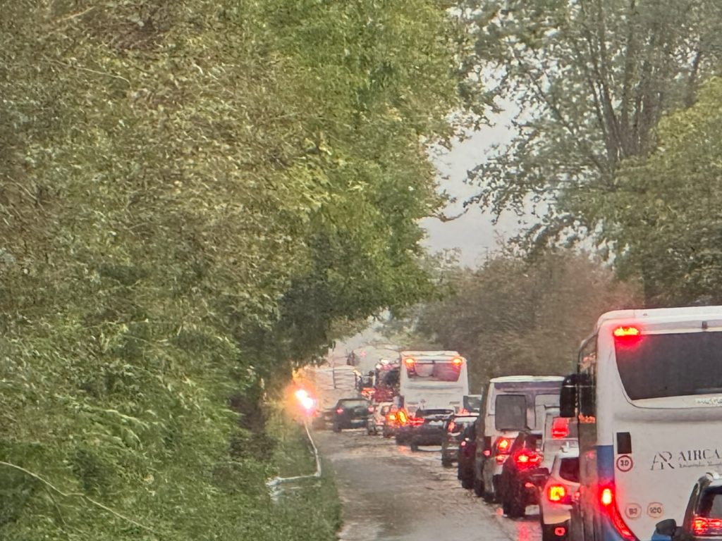 Maltempo nel Baianese, alberi sradicati dal vento sulla Statale 7 bis: traffico bloccato Maltempo nel Baianese, alberi sradicati dal vento sulla Statale 7 bis: traffico bloccato