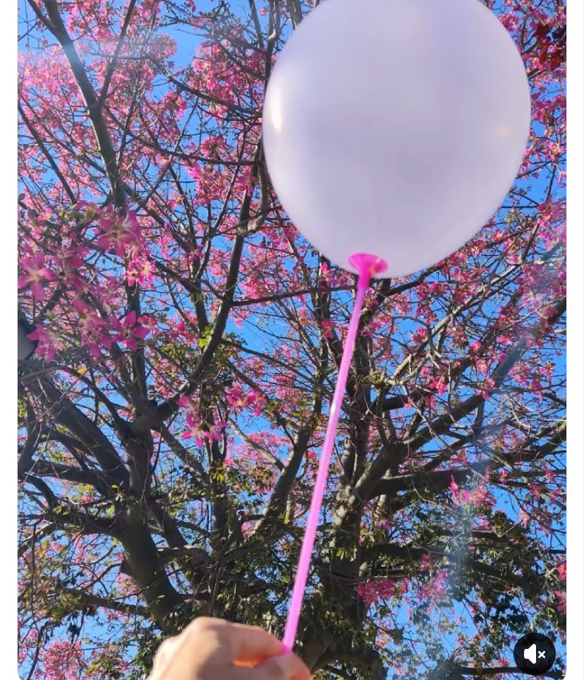 Roccarainola si tinge di rosa: una camminata per la prevenzione e la solidarietà Roccarainola si tinge di rosa: una camminata per la prevenzione e la solidarietà