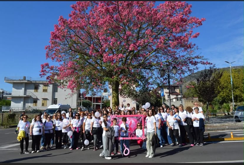Roccarainola si tinge di rosa: una camminata per la prevenzione e la solidarietà Roccarainola si tinge di rosa: una camminata per la prevenzione e la solidarietà