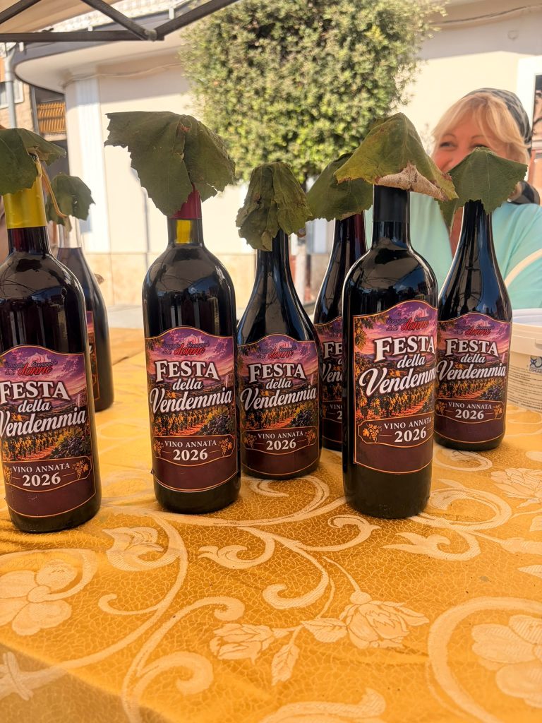 Visciano, successo per la Festa della Vendemmia: piazza gremita e grande partecipazione di famiglie e bambini Visciano, successo per la Festa della Vendemmia: piazza gremita e grande partecipazione di famiglie e bambini