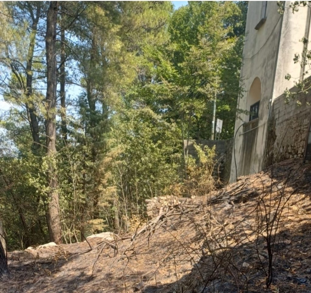 Forino (AV): Santuario di San Nicola solo promesse per la messa in sicurezza boschiva della collina dopo il violento incendio nel mese di luglio Forino (AV): Santuario di San Nicola solo promesse per la messa in sicurezza boschiva della collina dopo il violento incendio nel mese di luglio