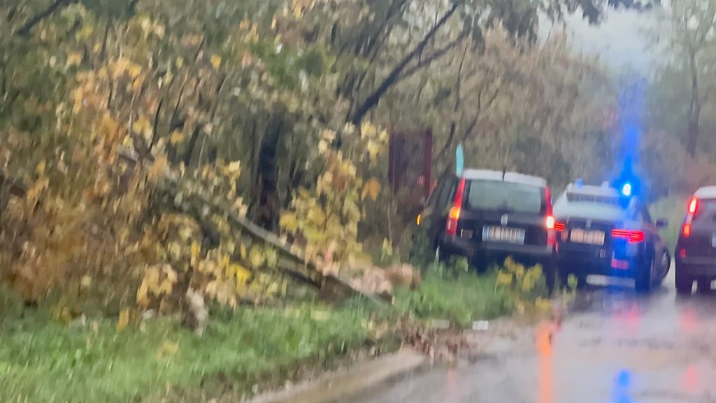 Maltempo nel Baianese, albero cade sulla Statale 7 bis: i Vigili del Fuoco liberano la strada, ripristinata la viabilità. FOTO