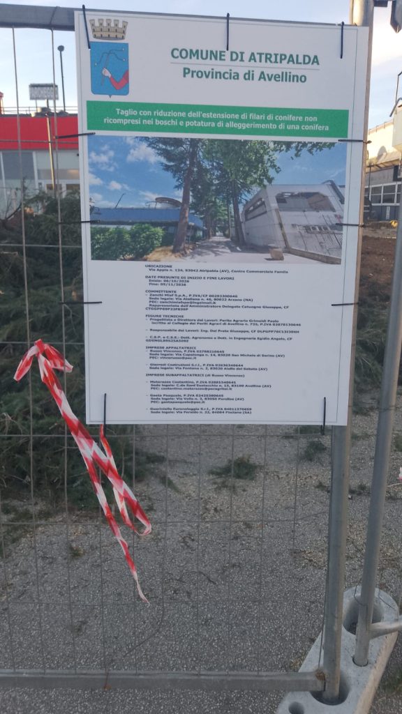 Atripalda, abbattuti quindici cedri al Centro Commerciale Appia: Legambiente chiede di piantare 45 nuovi alberi Atripalda, abbattuti quindici cedri al Centro Commerciale Appia: Legambiente chiede di piantare 45 nuovi alberi