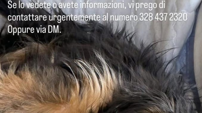 ea4cbdb3-1457-4477-9472-2c42b5ac13b6